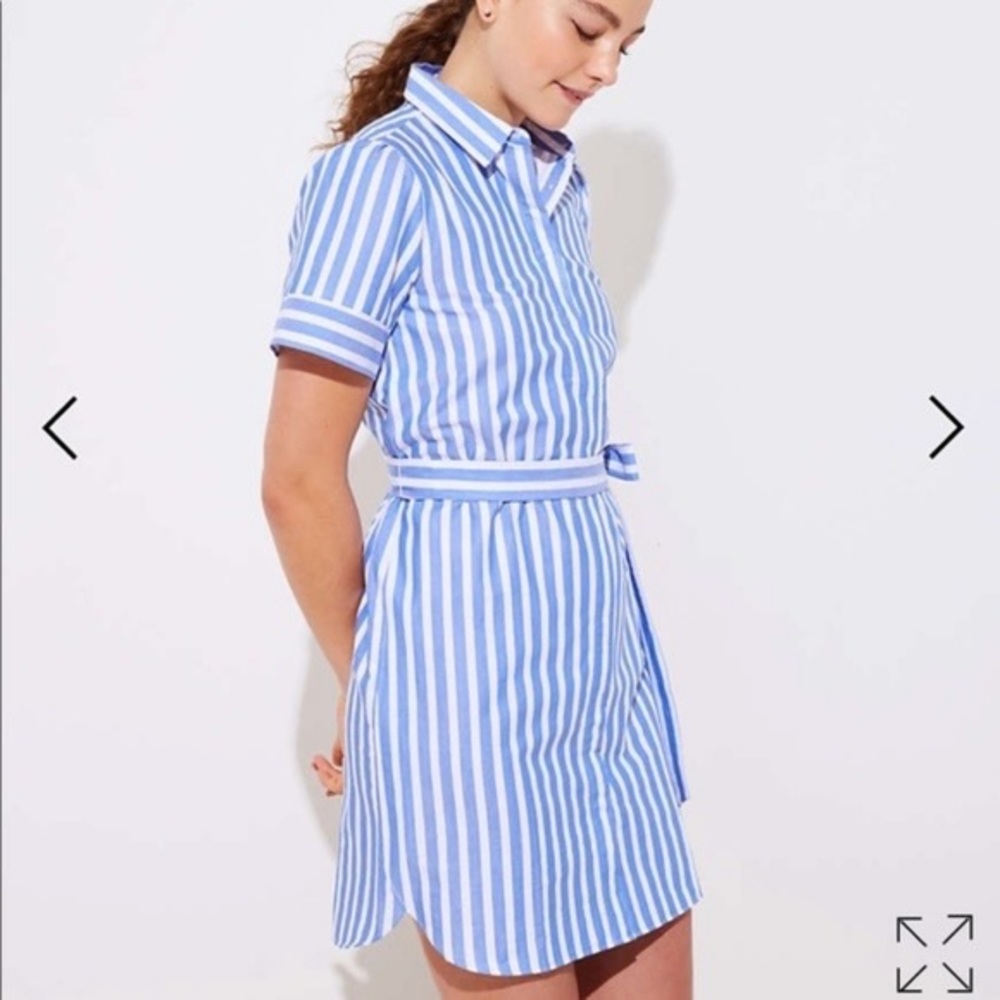 LOFT Blue and White Striped Shirt Dress
